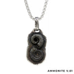 Pendere | Ammonite (real)