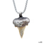 Pendere | Shark Tooth