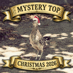 Mystery Top