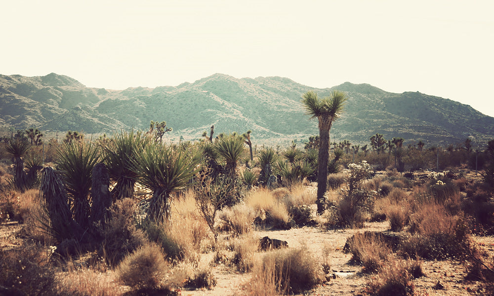 Attitude of gratitude...