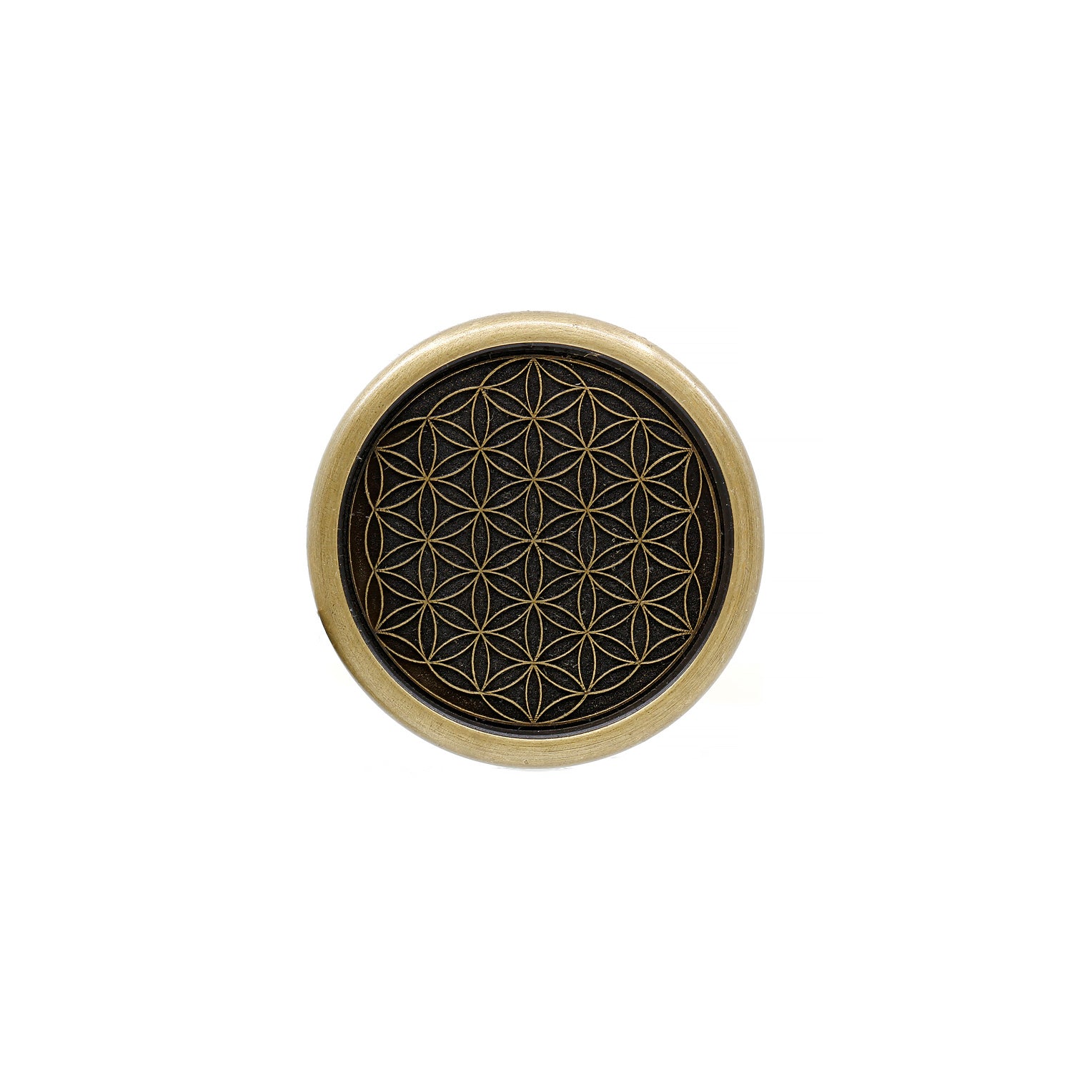 F.O.L. Spin Coin