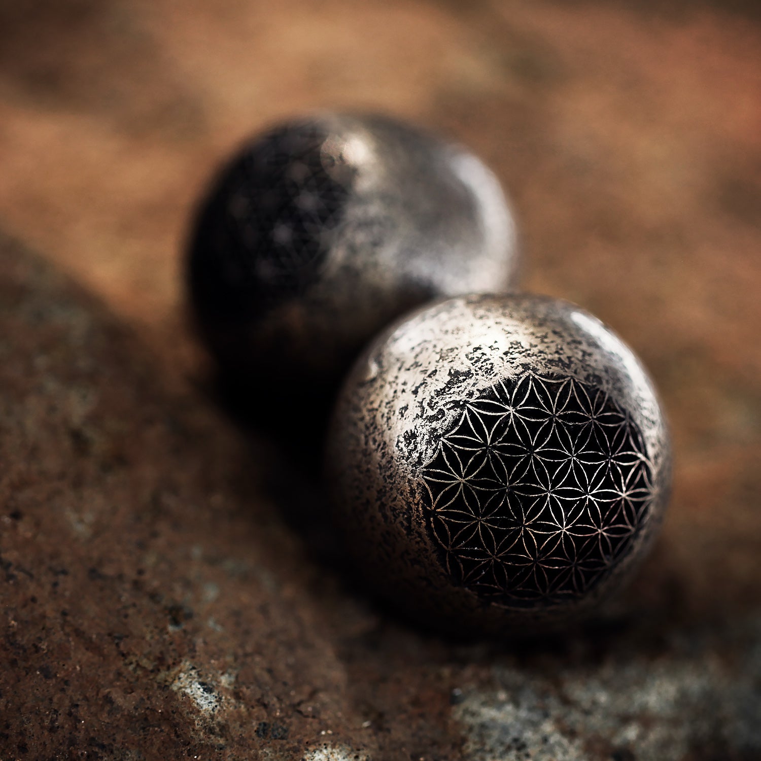Meditation | FOL