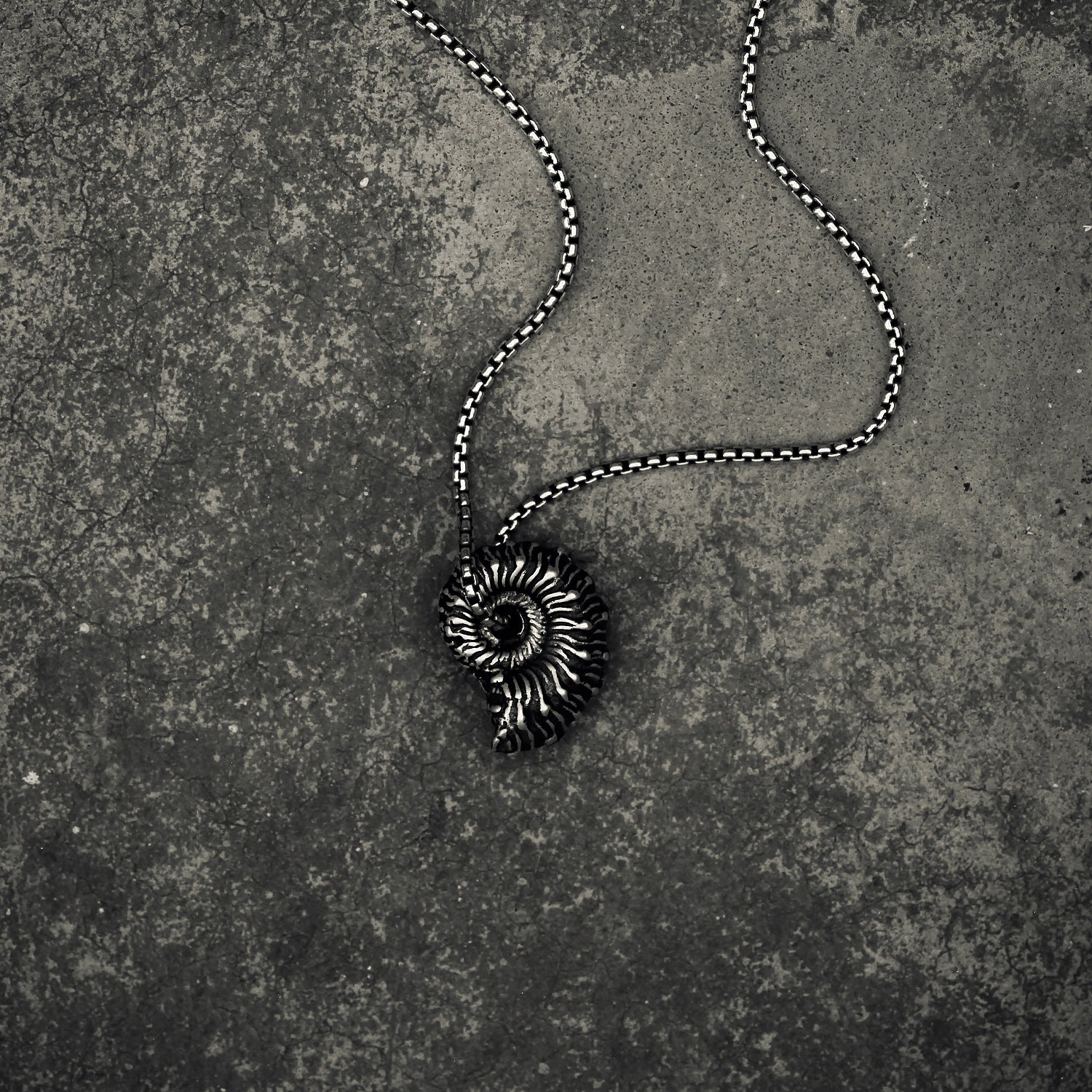 Pendere | Ammonite