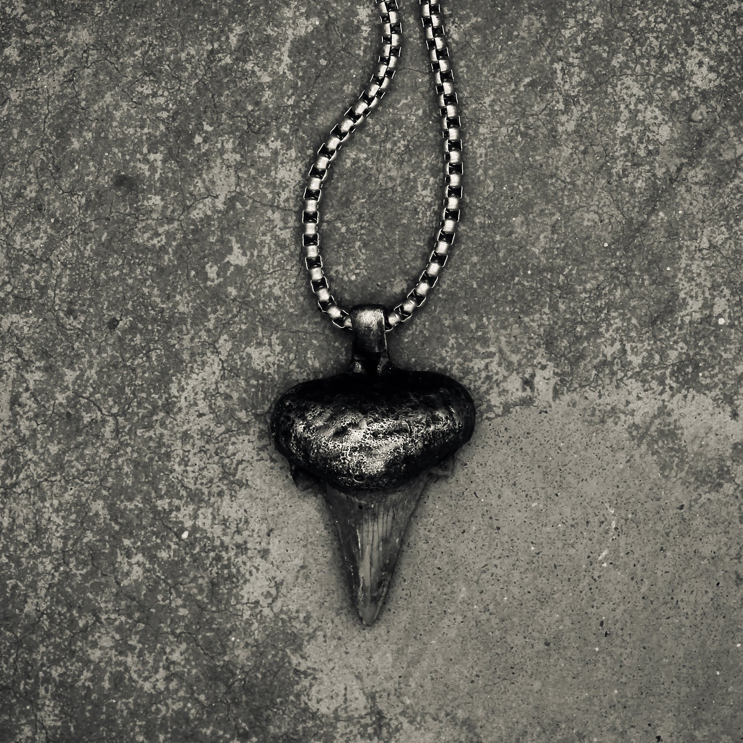 Pendere | Shark Tooth