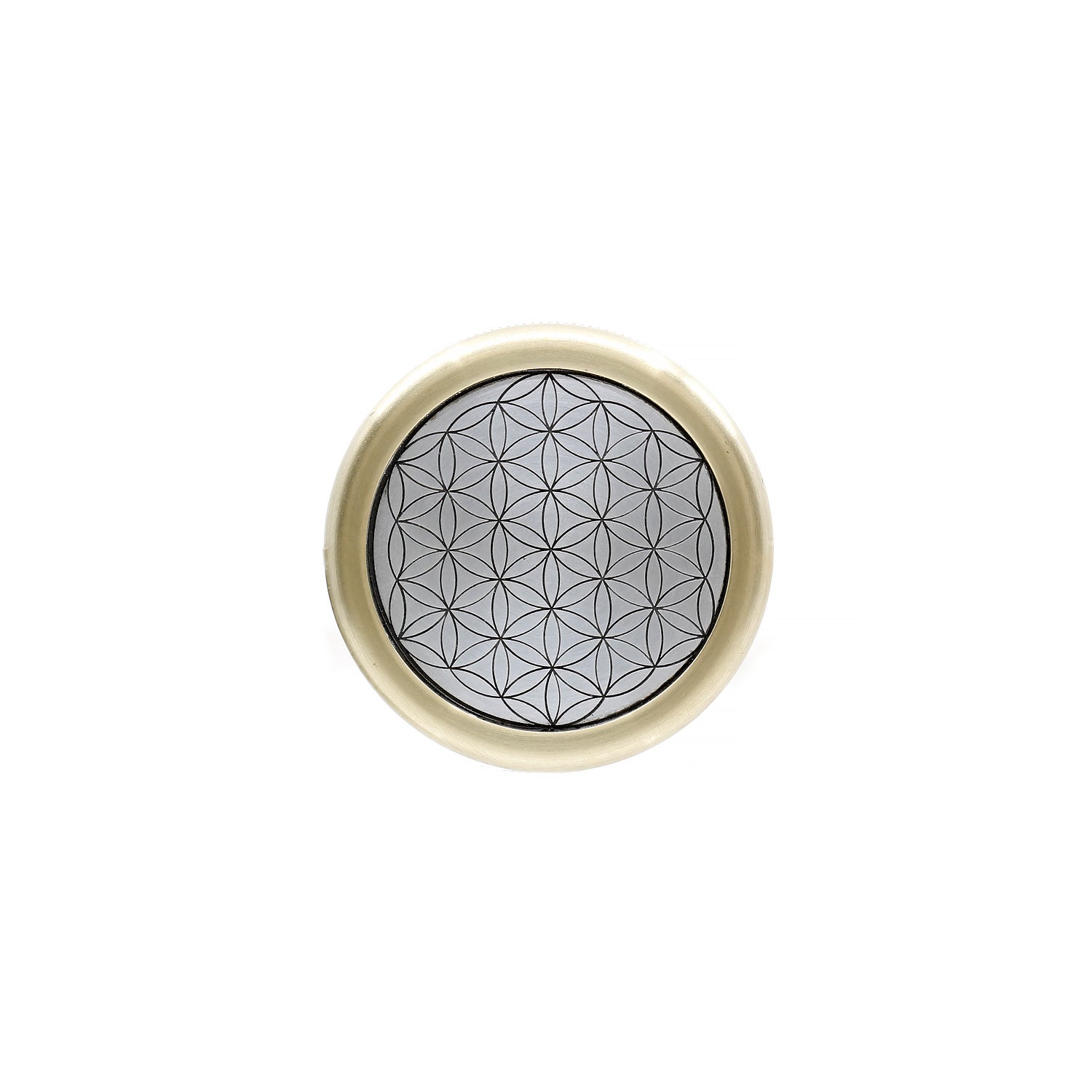 Worry Coin | Silver