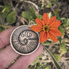 The Fibonacci Coin