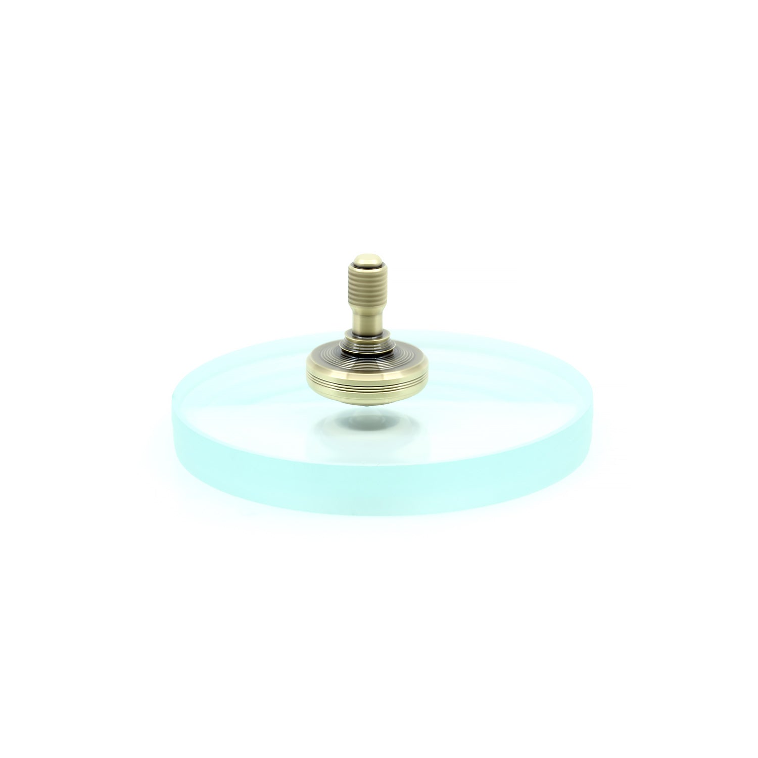 Spin Glass